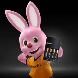 Duracell Carregador de Pilhas Recarregáveis AA e AAA Com 4 Pilhas AA Inclusas – — imagem 10
