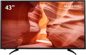 Tela 43 Polegadas Full Hd Conversor Tv