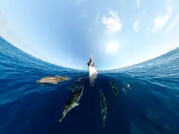 GoPro Max 360 - Câmera de Ação à Prova d'água, Vídeo 360 5.6K — imagem 7