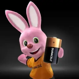 Duracell Pilhas Alcalinas D Grande Pack 2 Unidades – Ideal para Lanternas — imagem 6